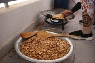 Argane, hold-up sur un patrimoine national : dans le désert du Néguev (2/4)