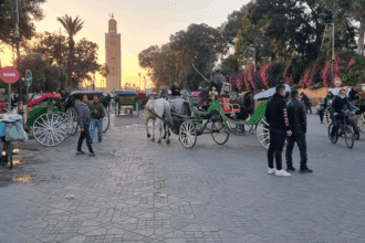Le Sommet arabe de l'entrepreneuriat, du 12 au 14 décembre à Marrakech