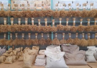 Comment l’INRA accompagne le secteur agricole contre la sécheresse et la pénurie hydrique