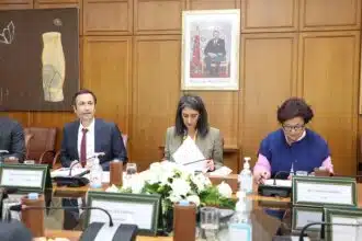 Gestion des fonds sectoriels et thématiques : le FM6I a reçu 46 dossiers de candidature