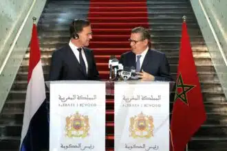 Le Maroc et les Pays-Bas veulent établir un partenariat stratégique