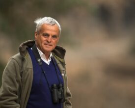 Patrick Bergier : &ldquo;Le moineau doré du sud du Maroc, une découverte scientifique fascinante&rdquo;