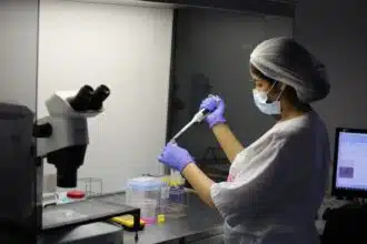 Au Maroc, de plus en plus de femmes ont recours à la congélation d’ovocytes