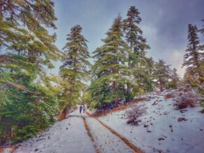 Parc national de Talassemtane. Au cœur des sapinières enneigées du Rif