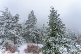 Alerte météo. Fortes chutes de neige et rafales de vent