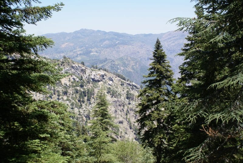 Parc national de Talassemtane. Au cœur des sapinières enneigées du Rif Parc national de Talassemtane. Au cœur des sapinières enneigées du Rif