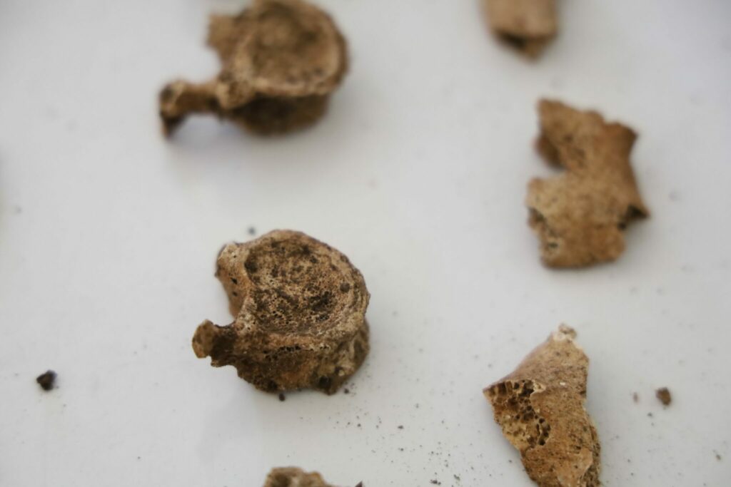 Archéologie préhistorique : on en sait davantage sur les vestiges retrouvés dans les Rehamna Archéologie préhistorique : on en sait davantage sur les vestiges retrouvés dans les Rehamna