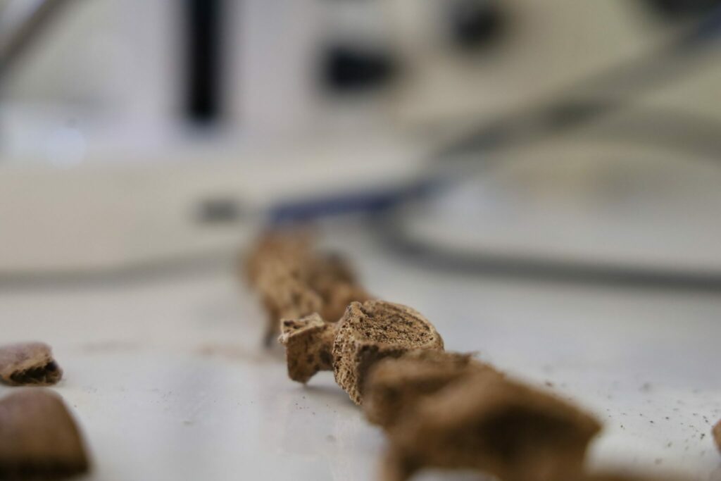 Archéologie préhistorique : on en sait davantage sur les vestiges retrouvés dans les Rehamna Archéologie préhistorique : on en sait davantage sur les vestiges retrouvés dans les Rehamna
