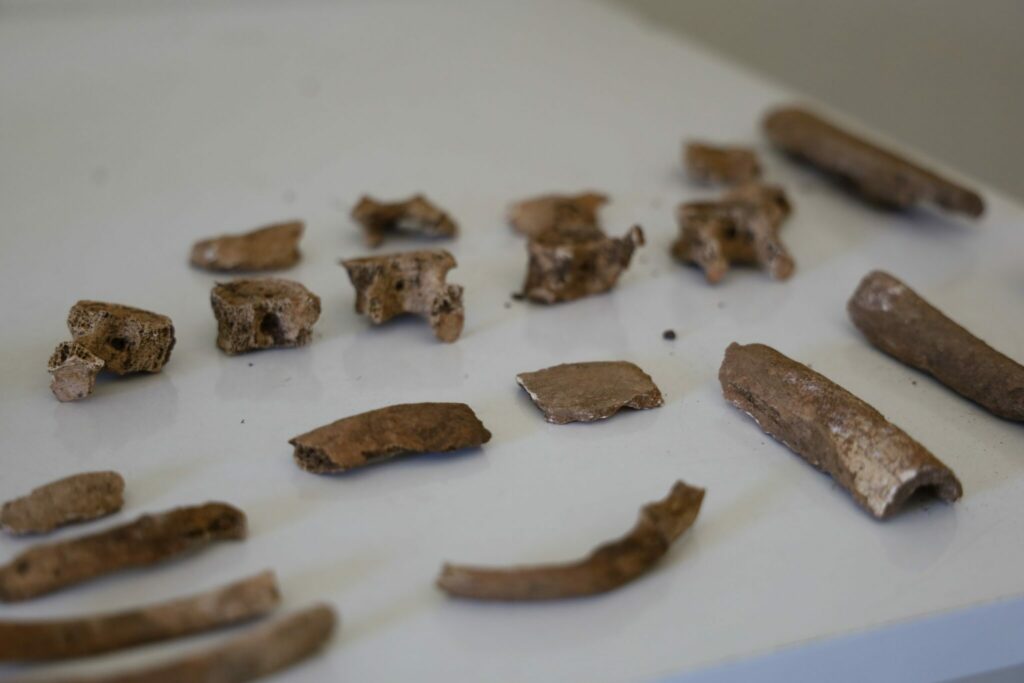 Archéologie préhistorique : on en sait davantage sur les vestiges retrouvés dans les Rehamna Archéologie préhistorique : on en sait davantage sur les vestiges retrouvés dans les Rehamna