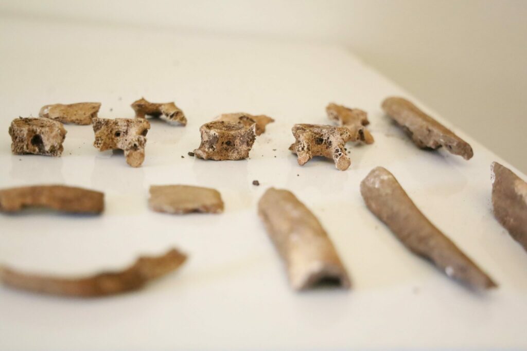 Archéologie préhistorique : on en sait davantage sur les vestiges retrouvés dans les Rehamna Archéologie préhistorique : on en sait davantage sur les vestiges retrouvés dans les Rehamna