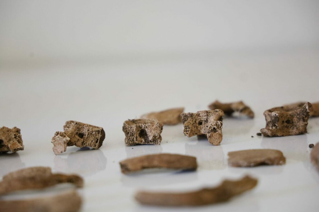 Archéologie préhistorique : on en sait davantage sur les vestiges retrouvés dans les Rehamna Archéologie préhistorique : on en sait davantage sur les vestiges retrouvés dans les Rehamna
