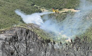 Incendies de forêt : au 20 juillet, plus de départs de feu, 30% de surfaces brûlées en moins