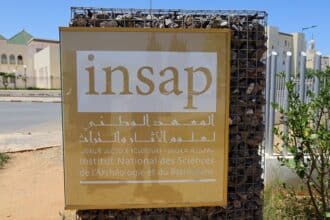 Entretien. Comment le Maroc est devenu une terre d'opportunité pour la recherche archéologique