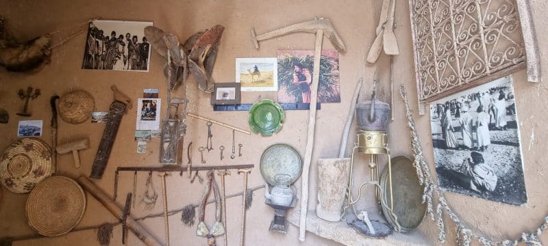 Tourisme durable. L’oasis de Tighmert, un site naturel et culturel à préserver