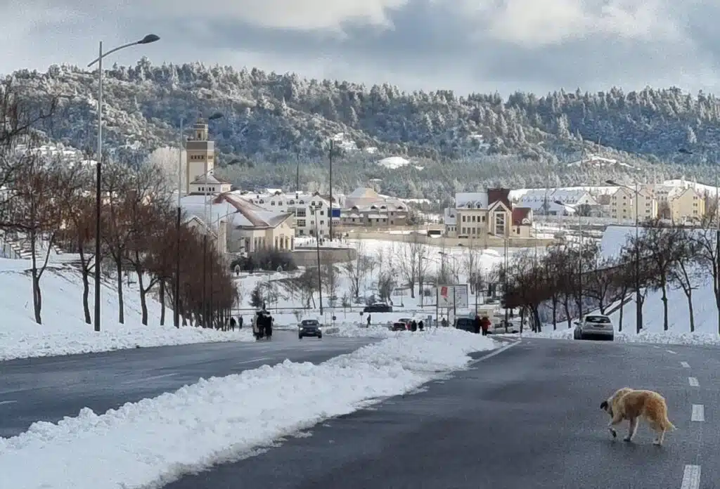 Pluie, neige, froid... voici les prévisions météo pour les 10 prochains jours