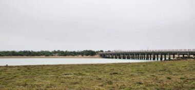 Aquaculture. Une écloserie de poissons marins inaugurée dans le Nord