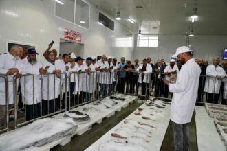 Un mécanisme digitalisé à Agadir puis Tanger pour la criée dans les halles au poisson