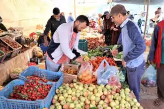 Au Marché de gros de Casablanca, tendance vers la stabilité des prix