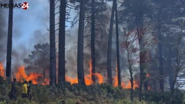 Près de 100 hectares ravagés par les feux dans la forêt de Jbel Kharbouch à Chefchaouen
