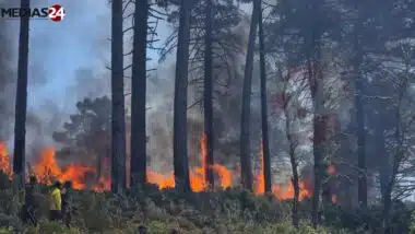 Près de 100 hectares ravagés par les feux dans la forêt de Jbel Kharbouch à Chefchaouen