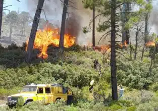 Récit. Comment le feu de forêt du Jbel Kharbouch a été maîtrisé