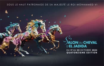 14e édition du Salon du cheval d'El Jadida du 17 au 22 octobre 2023