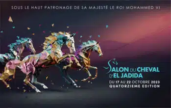 14e édition du Salon du cheval d'El Jadida du 17 au 22 octobre 2023