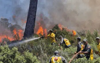 Risque &ldquo;extrême&rdquo; de feux de forêt dans 8 provinces