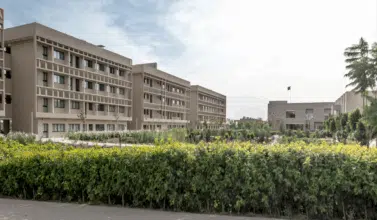 Des classes préparatoires marocaines derrière la réussite de 25 étudiants au concours Polytechnique de Paris