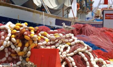 Pêche côtière : les volumes plongent de 18% à fin février, mais la valeur dépasse les 2 MMDH