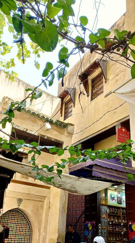 L'ADER annule l'appel d'offres du Maristane Sidi Frej, un hôpital psychiatrique pionnier dans le monde