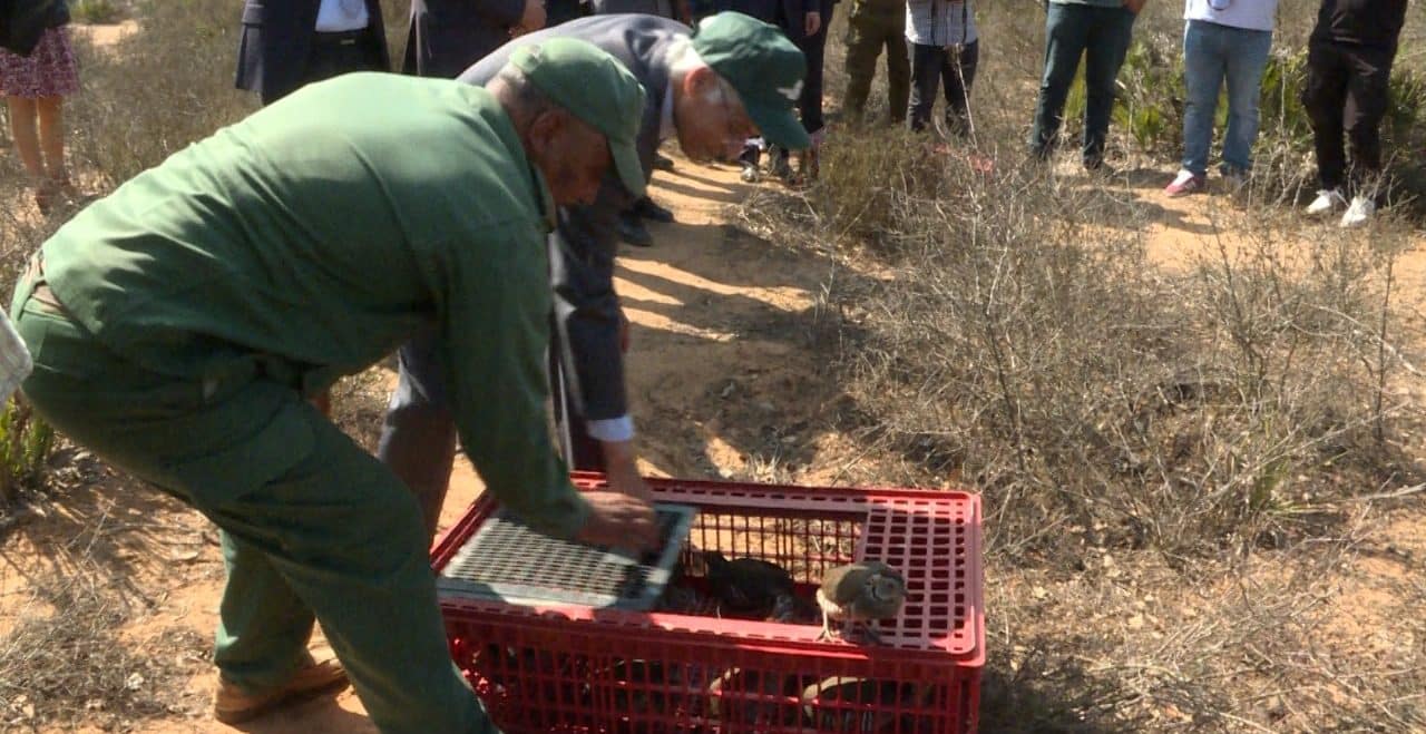Lancement de la nouvelle saison de la chasse