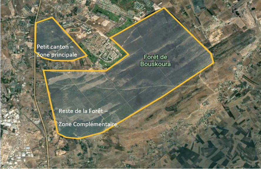 Bientôt un système de vidéosurveillance dans la forêt de Bouskoura à Casablanca
