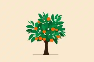 Green Village ouvre son troisième point de vente à Casablanca