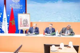 Économie agricole responsable. La BCP signe un partenariat de 36 millions de dollars avec IFC et la CMGP