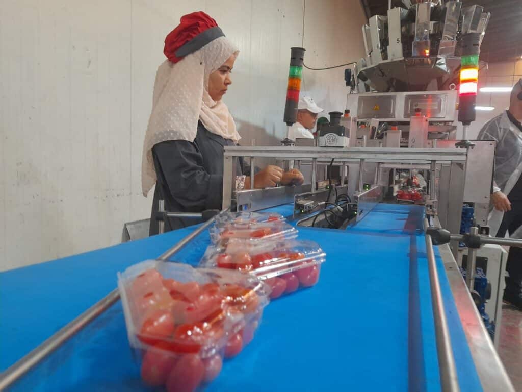 Reportage. Comment Morocco Foodex séduit les importateurs européens de fruits et légumes Reportage. Comment Morocco Foodex séduit les importateurs européens de fruits et légumes