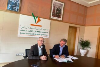 Protection des semences de blé: un bilan d'étape &ldquo;positif&rdquo; du partenariat INRA-Syngenta
