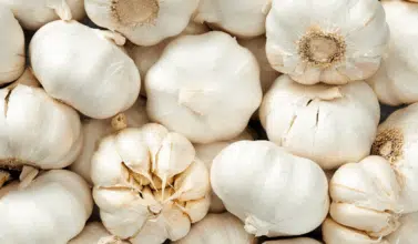 Inattendue, la flambée du prix de l'ail surprend le marché