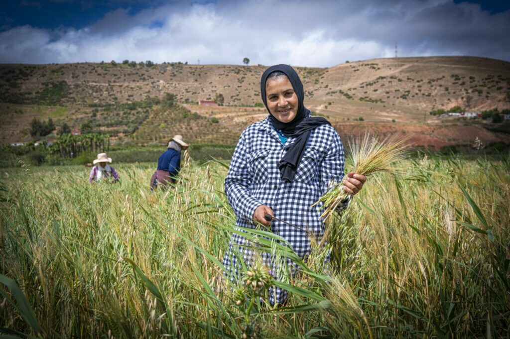 Depuis sa création, la Fondation OCP a soutenu 460 coopératives agricoles