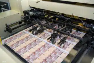 Changement des billets de banque, plafonnement des paiements en espèces... : les options pour éponger davantage le cash