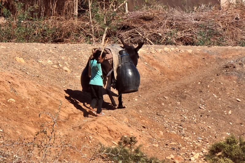 Al Massira, un barrage dont il ne reste que le nom