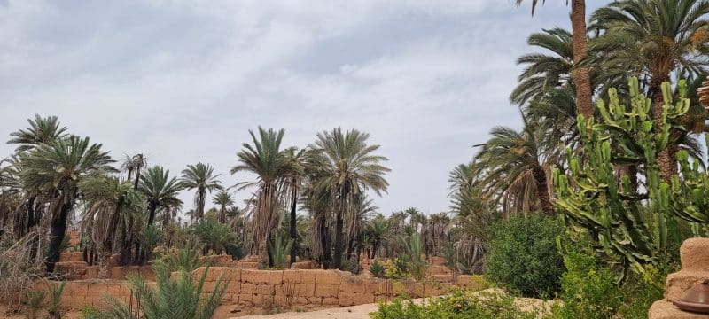 Guelmim. Les portes ouvertes vers la magie du désert Guelmim. Les portes ouvertes vers la magie du désert