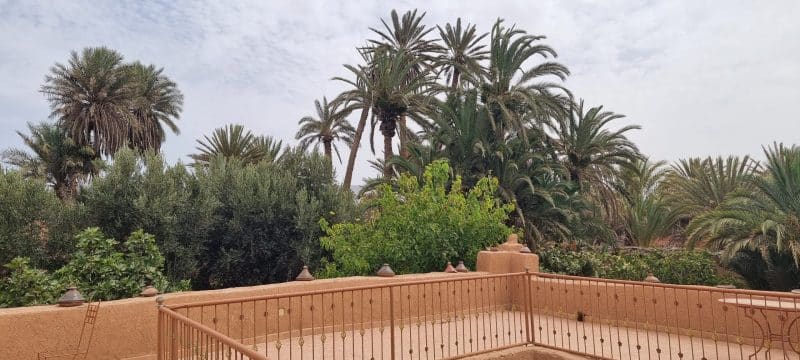 Guelmim. Les portes ouvertes vers la magie du désert Guelmim. Les portes ouvertes vers la magie du désert