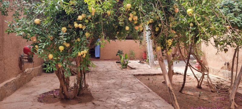 Guelmim. Les portes ouvertes vers la magie du désert Guelmim. Les portes ouvertes vers la magie du désert