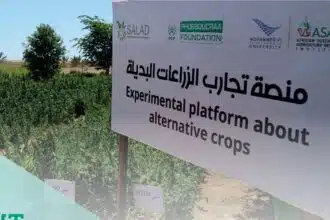 La Fondation Phosboucraâ dresse le bilan de ses actions pour le développement des régions du Sud