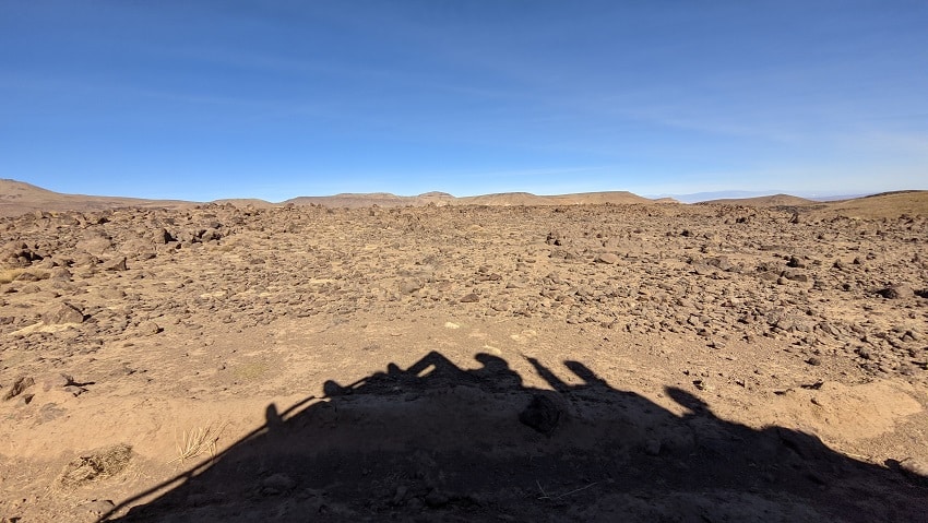 Dans le massif de Siroua, le tapis de Taznakht victime collatérale des changements climatiques