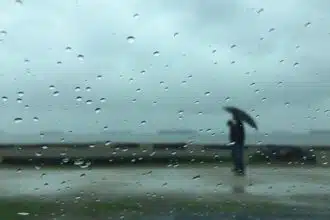 Alerte météo : pluies, chutes de neige et rafales de vent