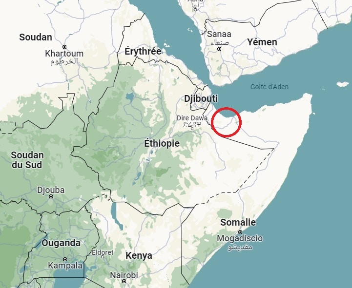 Éthiopie-Somalie : le Maroc présidera ce mercredi une réunion d’urgence du Conseil des MAE arabes