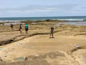 Découverte à Larache des plus anciennes empreintes humaines en Afrique du Nord, datant d’environ 100.000 ans