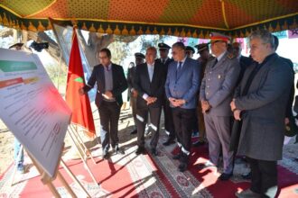 2.000 hectares prévus pour la campagne nationale de reboisement 2023-2024